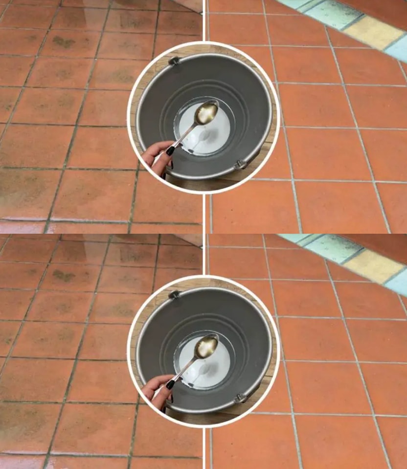 408960338 122158972502026096 7191642051347779324 N