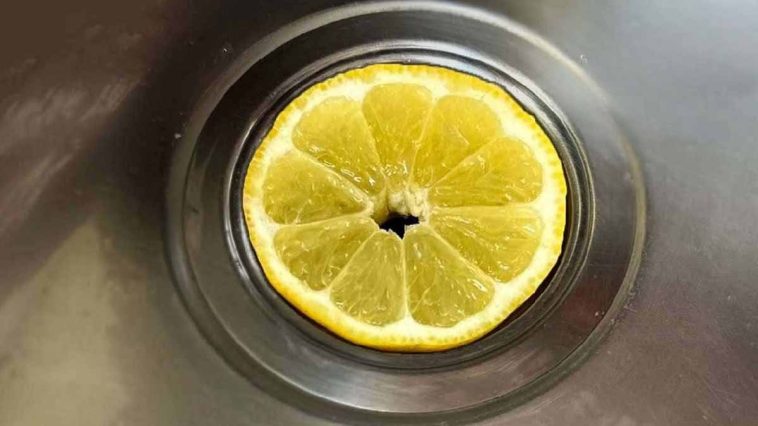 Mettez Une Rondelle De Citron Dans Le Drain Et Vous Nous Remercierez Plus Tard 758x426 1