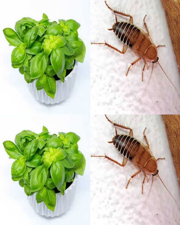 11 7