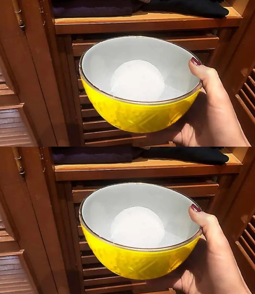 437515858 122185122776008179 5895756585995104245 N