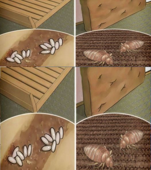438300089 122145065348101589 7928792660496589787 N 1