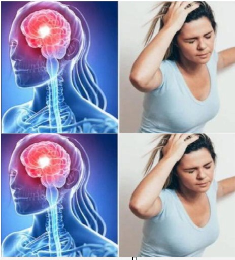 443862221 329589473494048 8274769813318936219 N