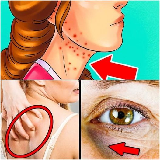 447620709 337234596070759 3723151800965706508 N