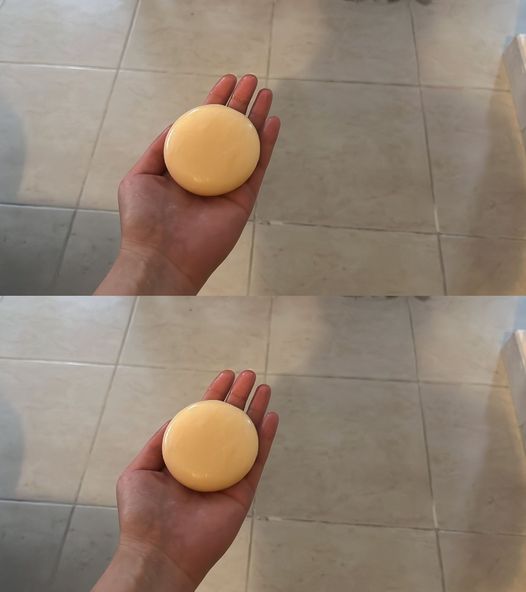 448027204 122147131490093586 6567484347125134064 N