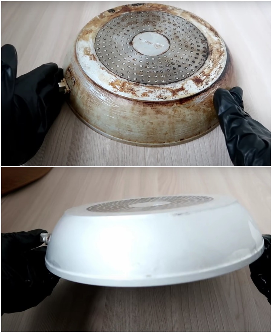 448149829 339502879177958 6845807454476863872 N