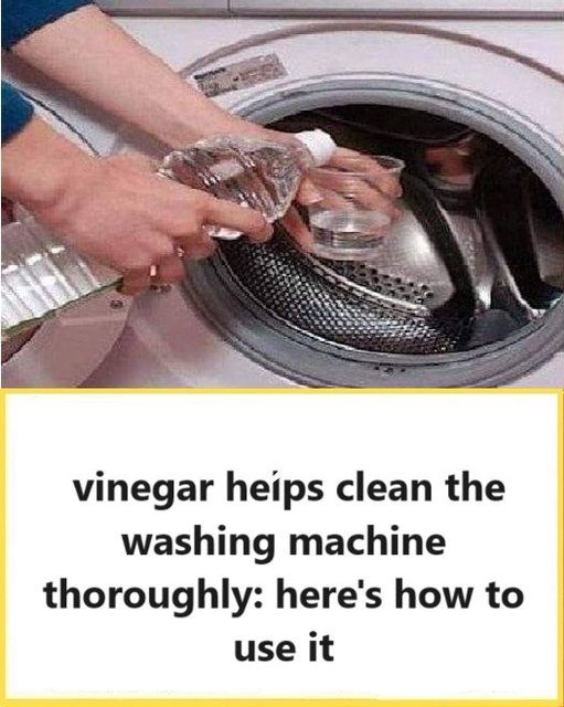 448551445 122156613524106738 992193549655335669 N