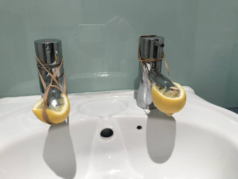 448956896 122167067654082245 3939428908282925398 N