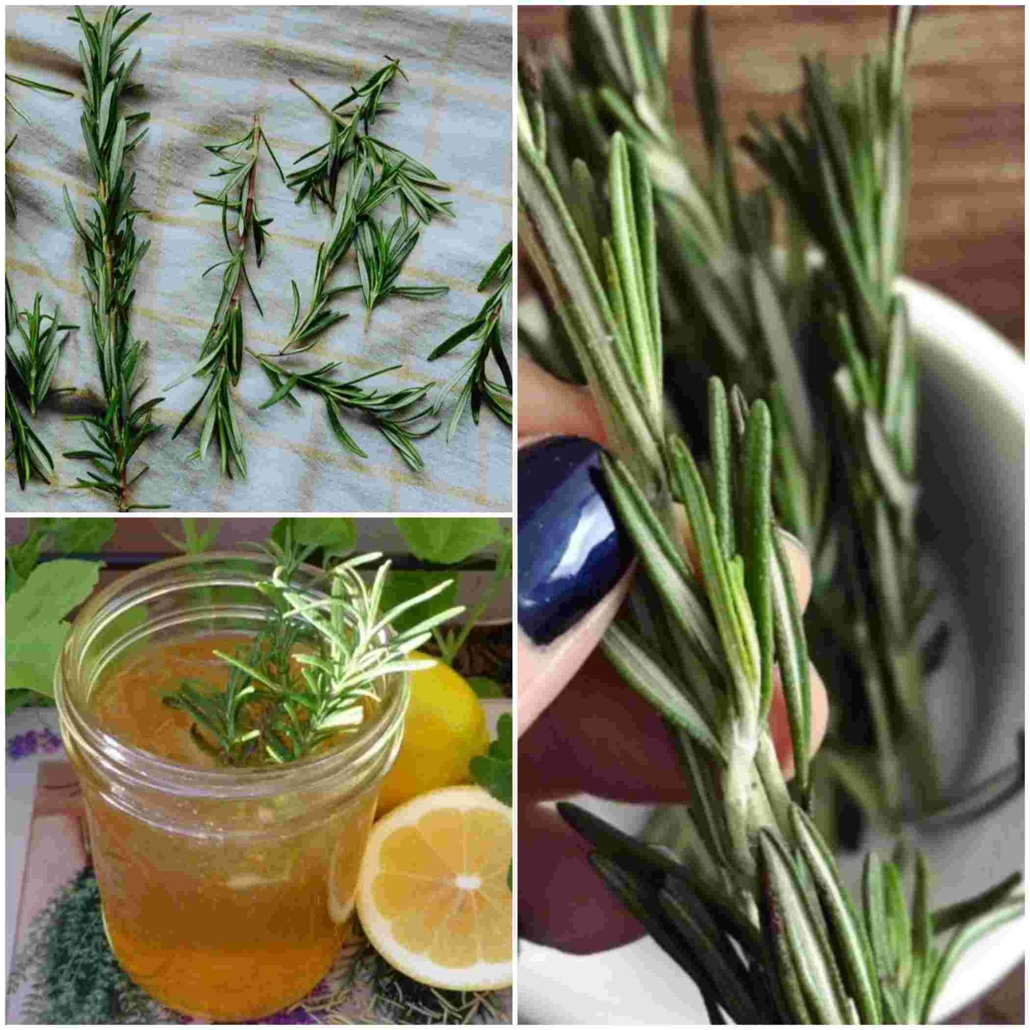 449051766 122114862548334907 9010164895485591948 N