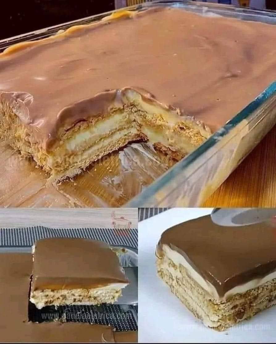 449193815 122125987058288480 1346574312512725442 N