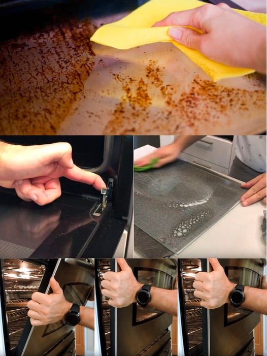 449270523 122155588442127137 3346307651252419690 N