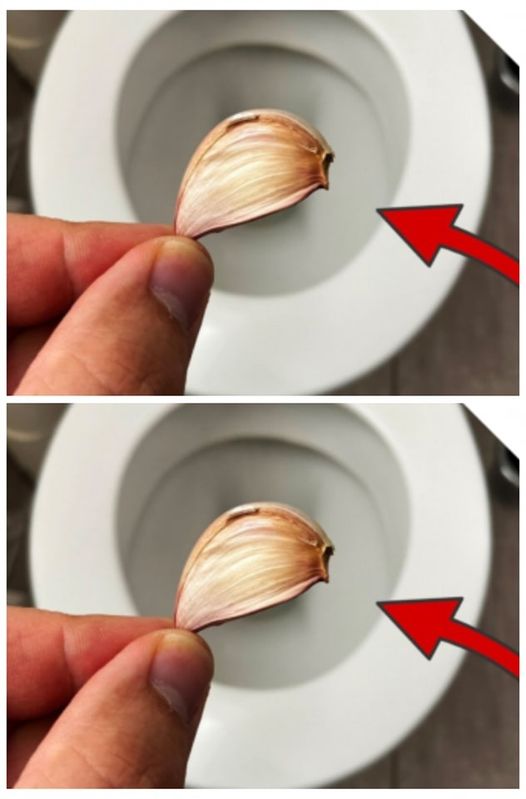 449405724 122155647260127137 7695937008007884338 N