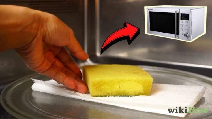 9 P19 How To Clean Deodorize Sponge In The Microwave 735x413 1