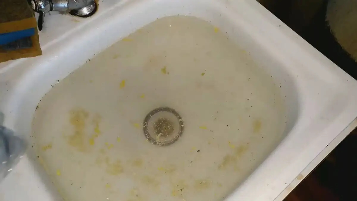 Photo 2023 09 01 10 44 56