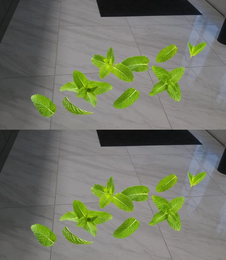 427438254 122124985256192707 6832502388253533290 N