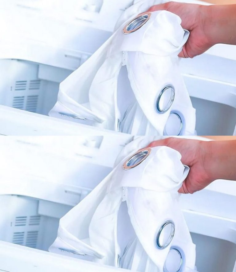 438102383 122200162700009680 5868161647065508671 N