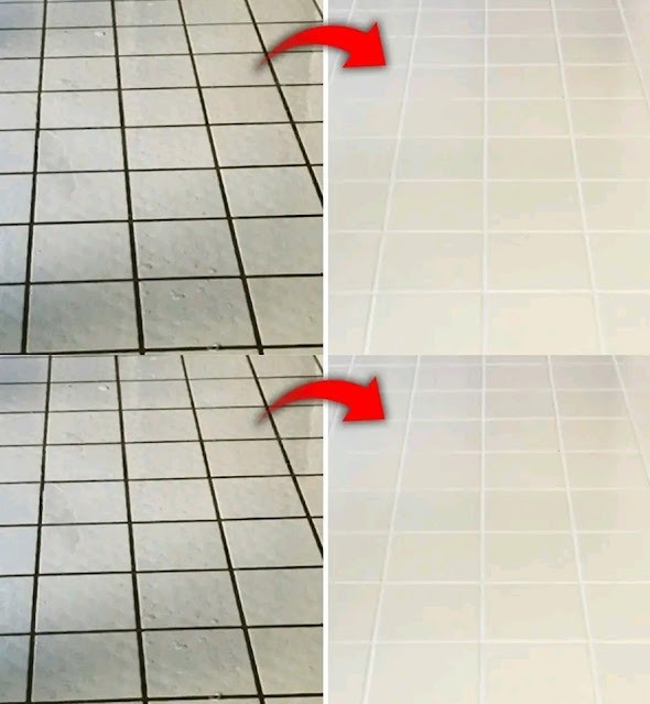 447785437 122153401766161427 9030871733925327361 N