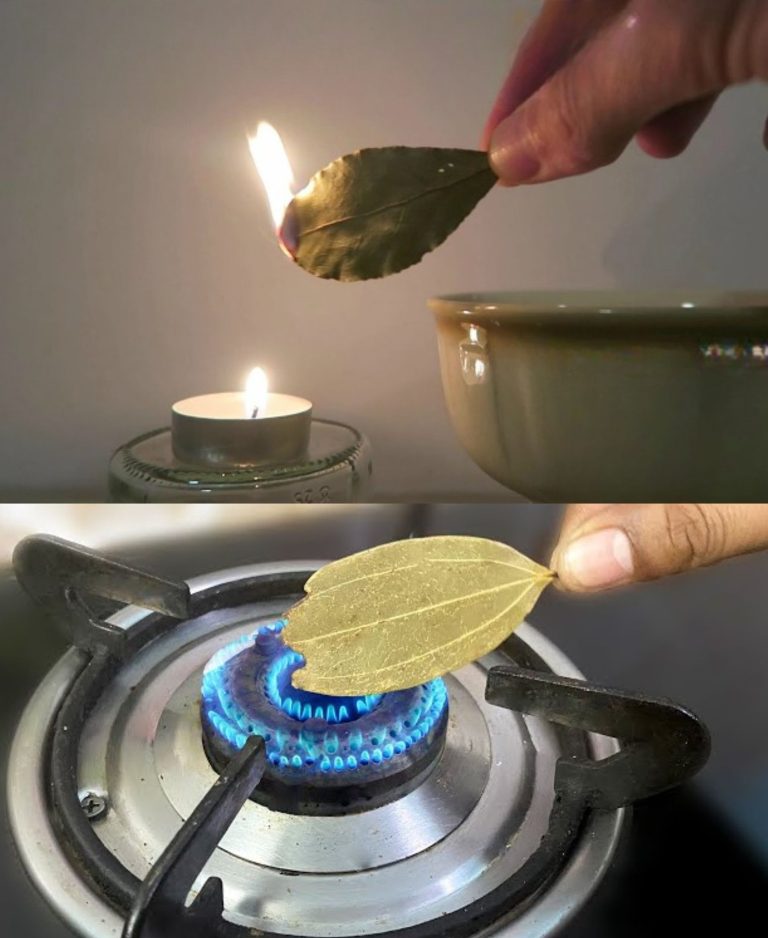 448487213 851770043648134 7214474990984757157 N