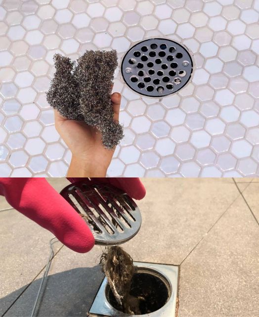 449023534 1682234195939884 3915806242850568588 N