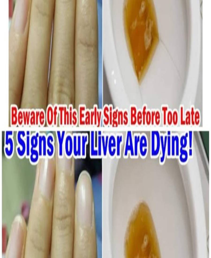 449630872 122165336732191089 4473331209813726713 N 735x400 1