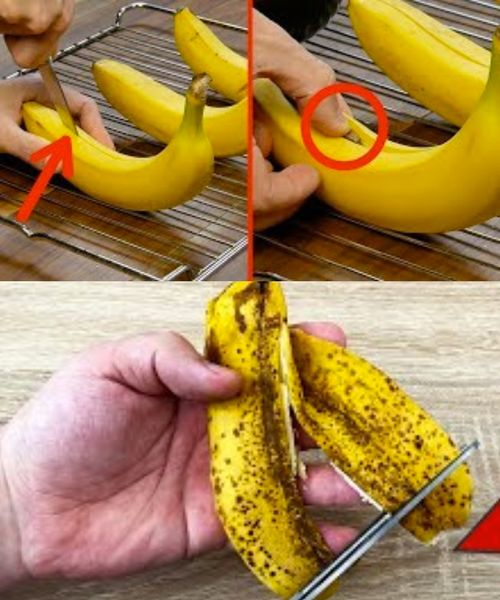 449729211 458948163755007 2412972092532975642 N