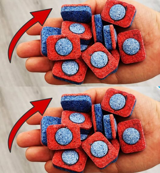 450099348 122162257694115362 6963533855074888628 N