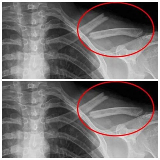 450210994 2163976357320627 9005947492168628777 N