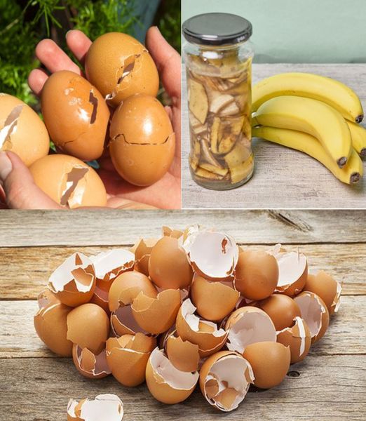 450549402 122172284444184151 4620980522100631258 N