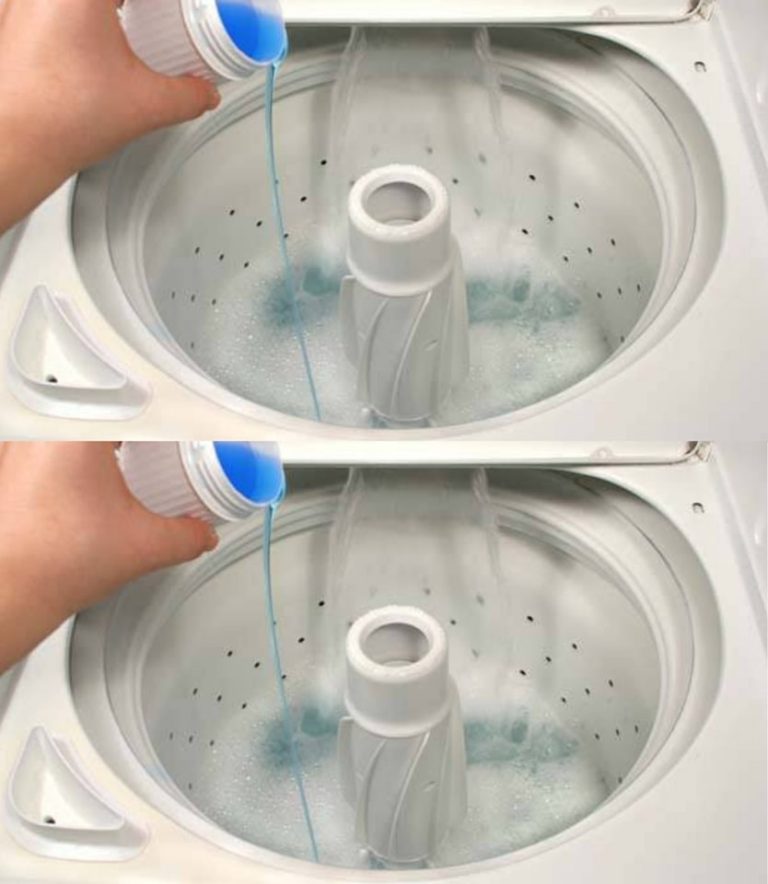 451347743 366071863184021 4624636655687031134 N