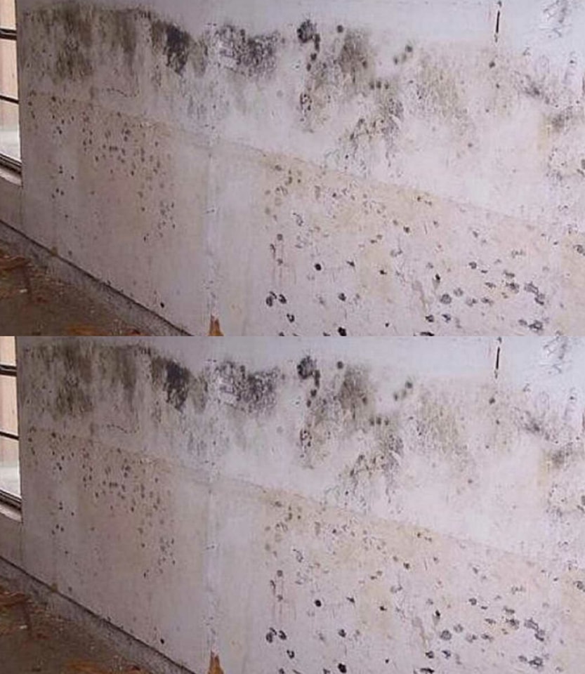 451488490 366331053158102 8145561394743981186 N