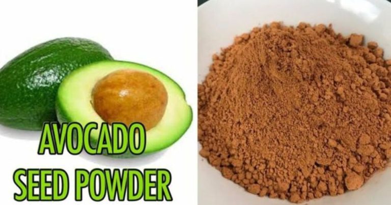 451512868 122144280482248545 4630200805533509772 N