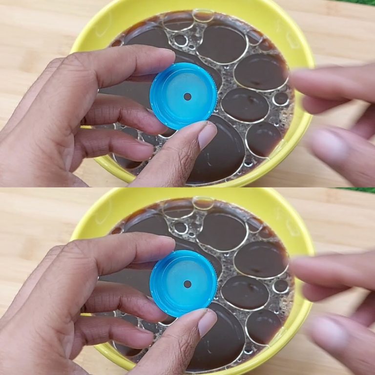 451593022 122157984200148206 378374455442643117 N