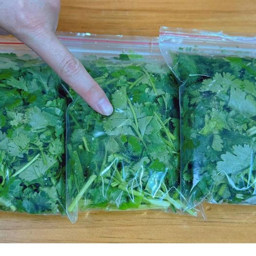 451978473 122159962802175577 5096580203945960895 N