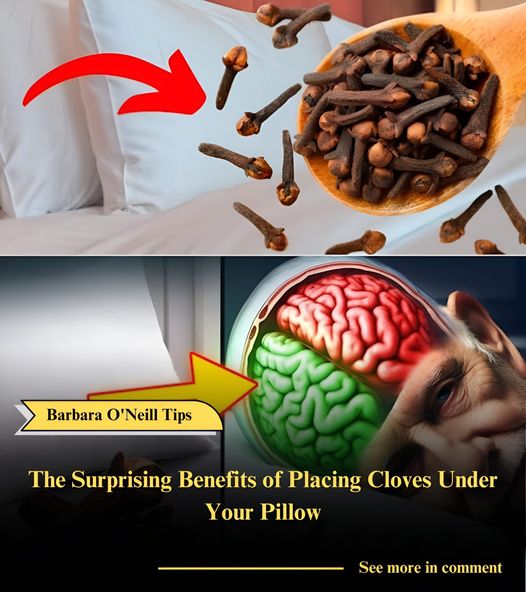 452384330 122145123554248545 3783331031667445709 N