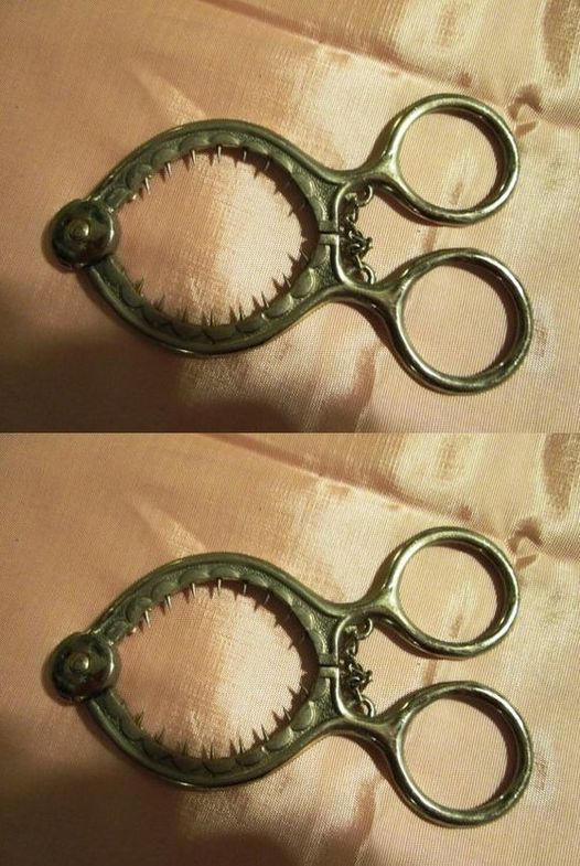 452554538 410647172014094 8582043327662020323 N