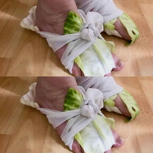 452827434 370828672706151 9026506341118854181 N