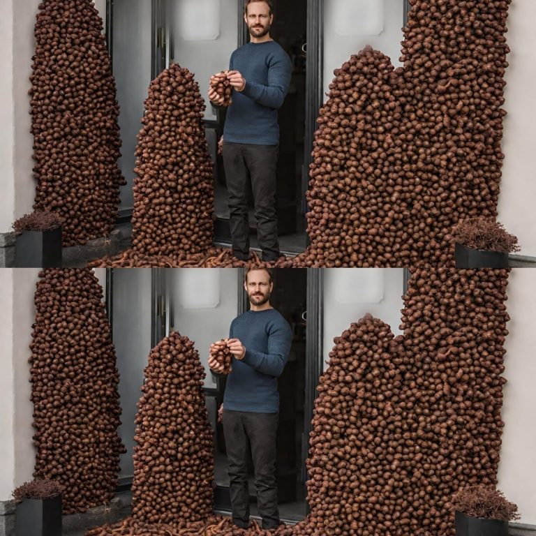 452911682 122160887720157364 9008772195675278063 N