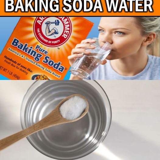 453160126 122162253998175577 899083267988295501 N