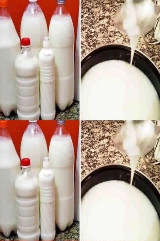 453210306 122162276522224437 2233226707675861758 N