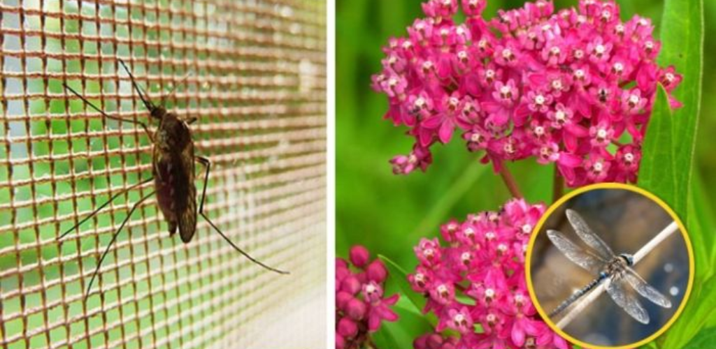 7 2024 07 18t164813.539