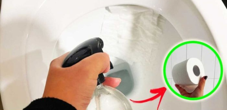 7 2024 07 18t170100.187