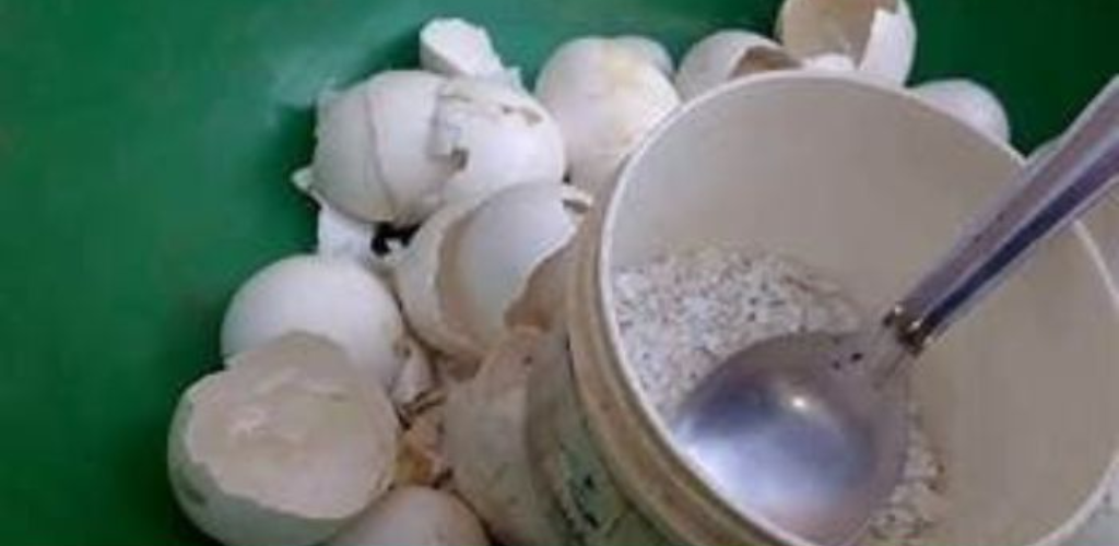 7 2024 07 27t113127.649