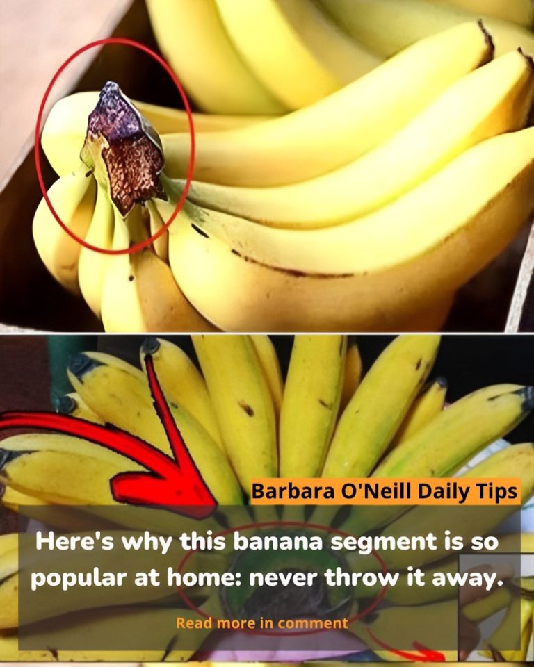 231923