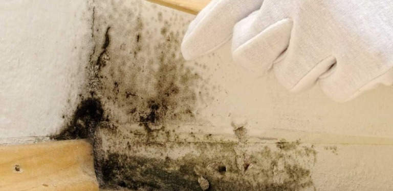 453601415 419307867821417 5573935275169001068 N