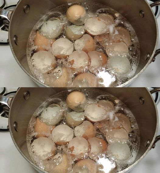 453969260 122161515794127137 4698305364630346433 N