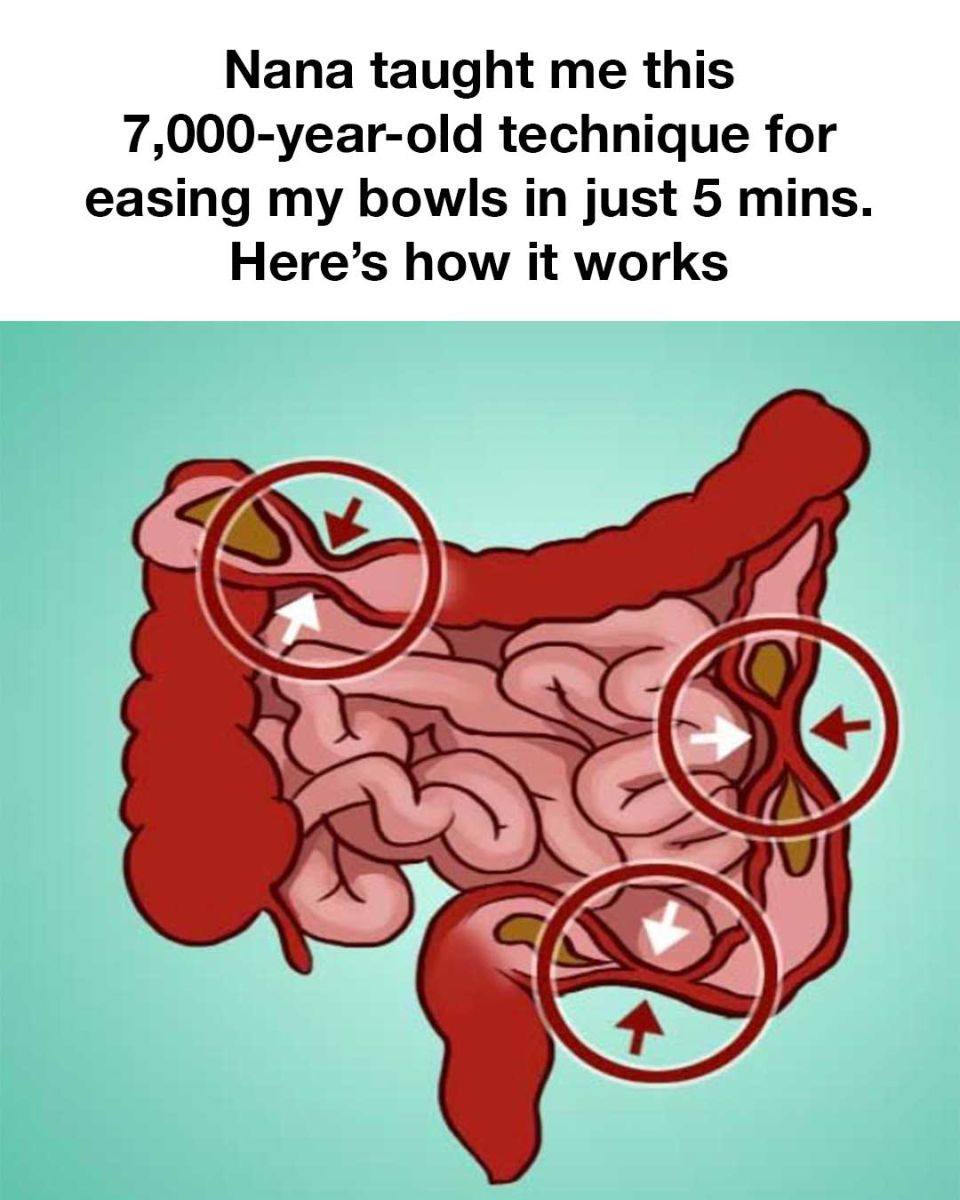 456755154 3509718679173632 2410541123118651859 N