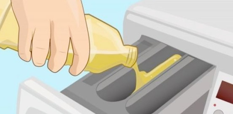 8 2024 08 30t154224.237