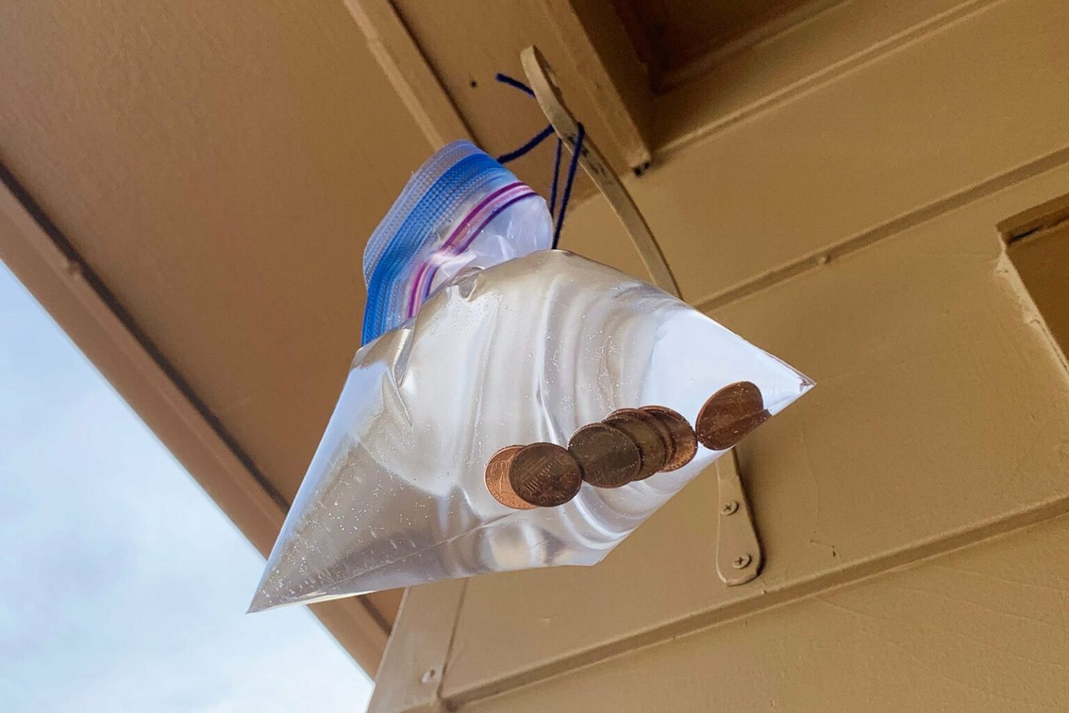Penny Water Bag For Flies 1536x1024