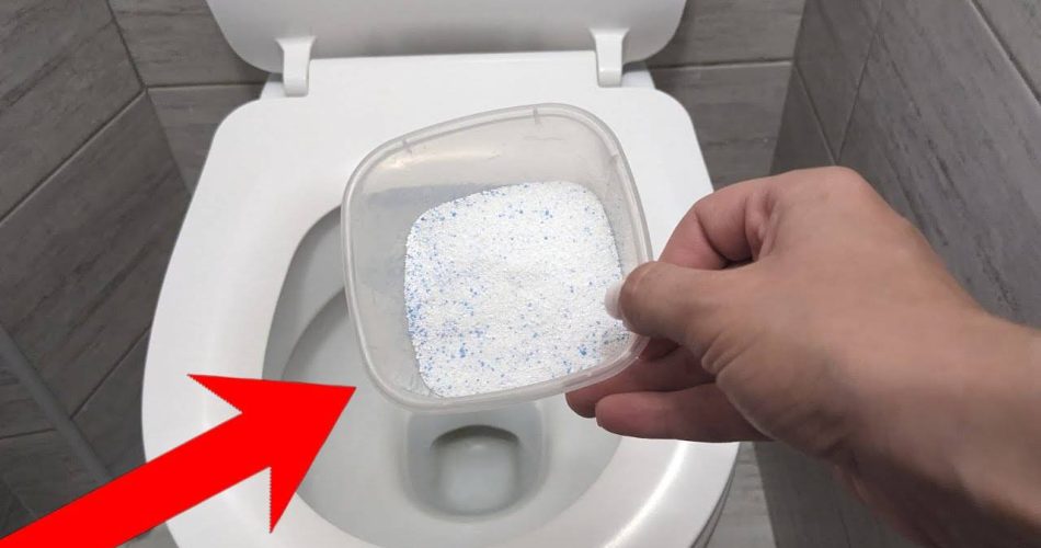 Toilet 950x500