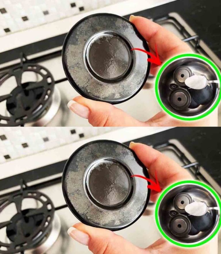 428604327 122122210982192707 5943308883975221970 N 1