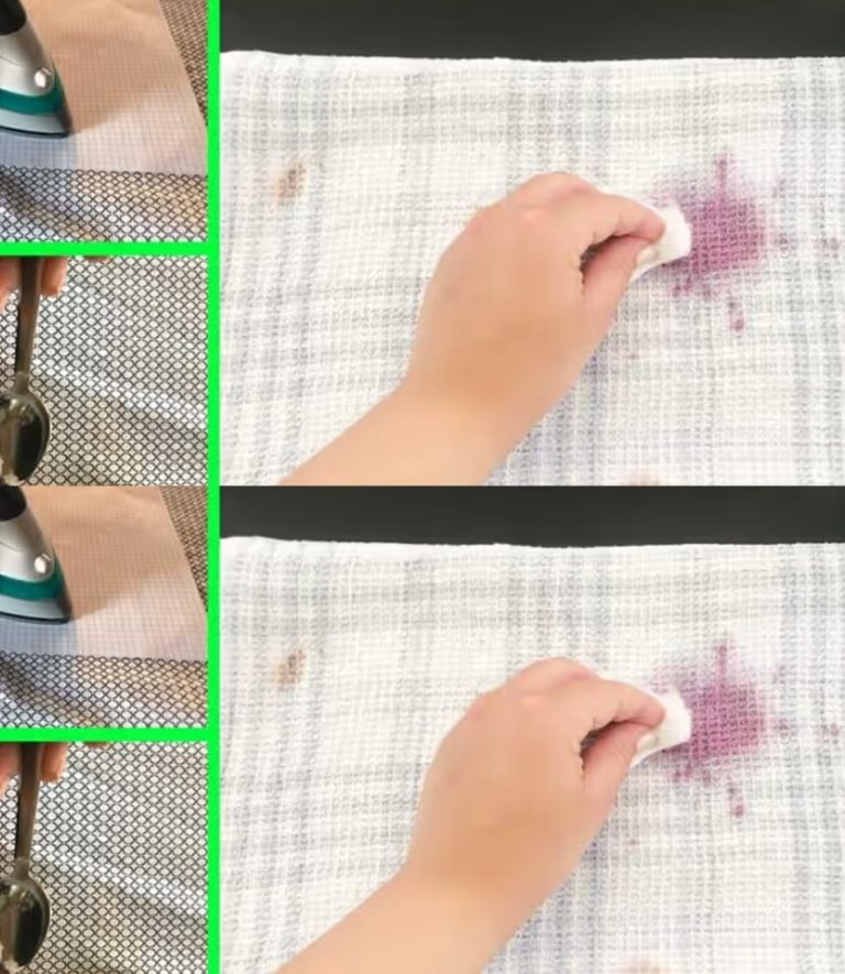 434745808 122180736284008179 2952873543319247839 N 768x885 1